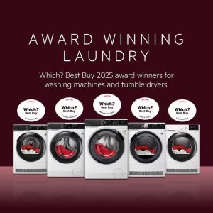 Imgi 11 Which Award 1080x1080 No Cta No Logo 300x300